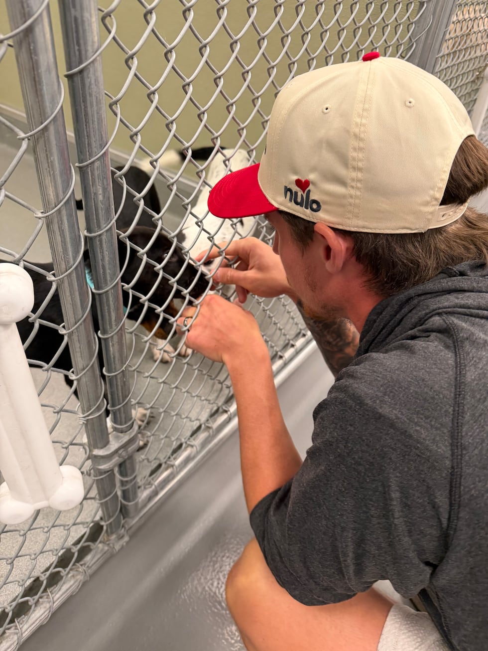 Mitch Marner visited the Nevada SPCA to launch the 'Points for Paws' campaign, helping provide...