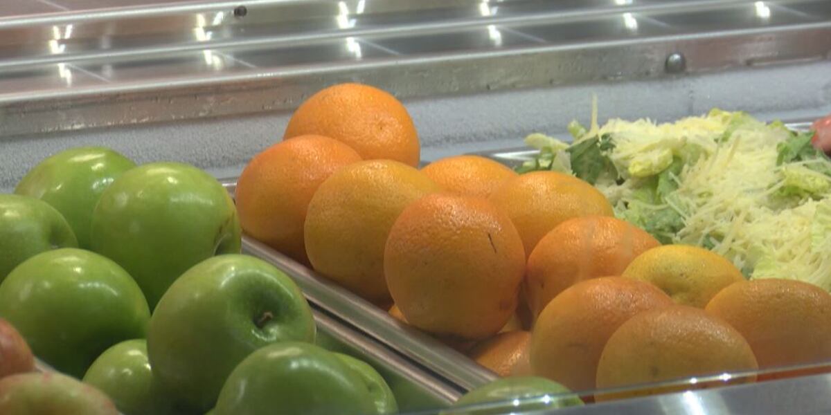 Free meals offered by Las Vegas academy, early learning center Free meals offered by Las Vegas academy, early learning center