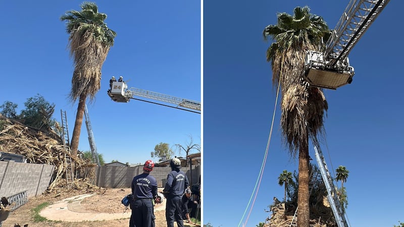 Pepcon Disaster 35 years later: Remembering the PEPCON disaster in Henderson