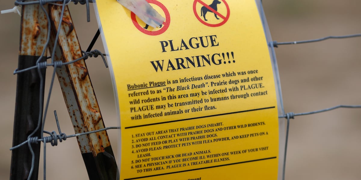 Plague discovered in South Lake Tahoe resident, officials say Plague discovered in South Lake Tahoe resident, officials say