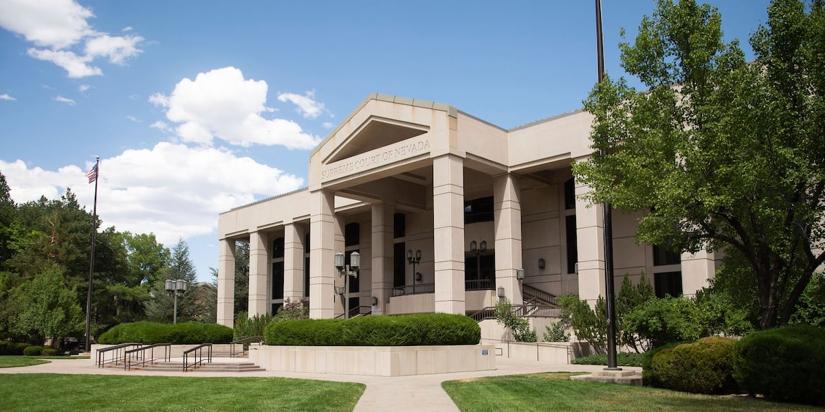 Self-help website launches in effort to guide people through Nevada legal system Self-help website launches in effort to guide people through Nevada legal system