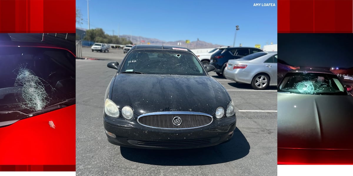 Victim of interstate rock attack wants answers from Southern Nevada officials Victim of interstate rock attack wants answers from Southern Nevada officials
