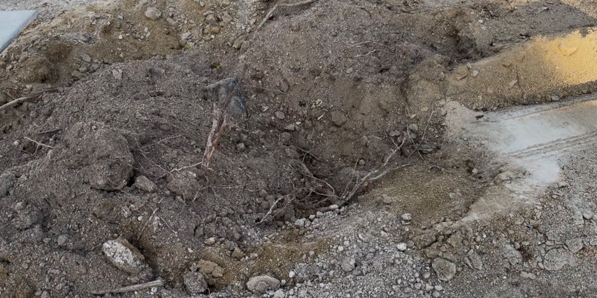 ‘It’s super disappointing’: Reaction to vandalism on Shadow Ridge High School campus after mature trees cut down ‘It’s super disappointing’: Reaction to vandalism on Shadow Ridge High School campus after mature trees cut down