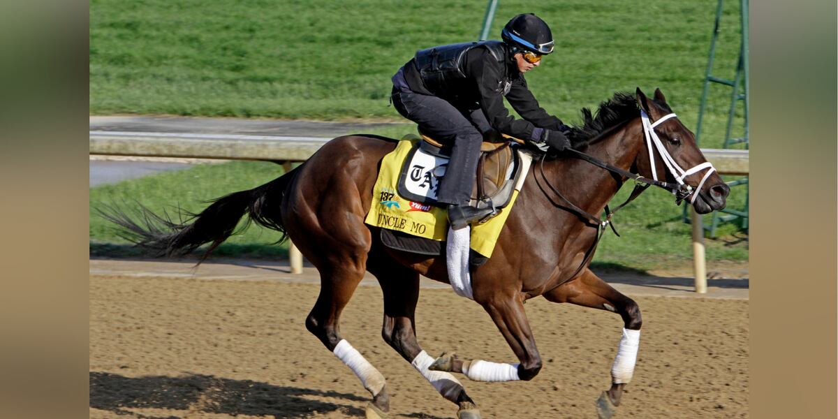 Champion racehorse, leading sire Uncle Mo euthanized following leg injury