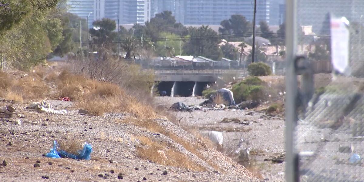 ‘Your buildings are flammable’: Spring Valley neighbors share fire concerns after threat from encampment ‘Your buildings are flammable’: Spring Valley neighbors share fire concerns after threat from encampment