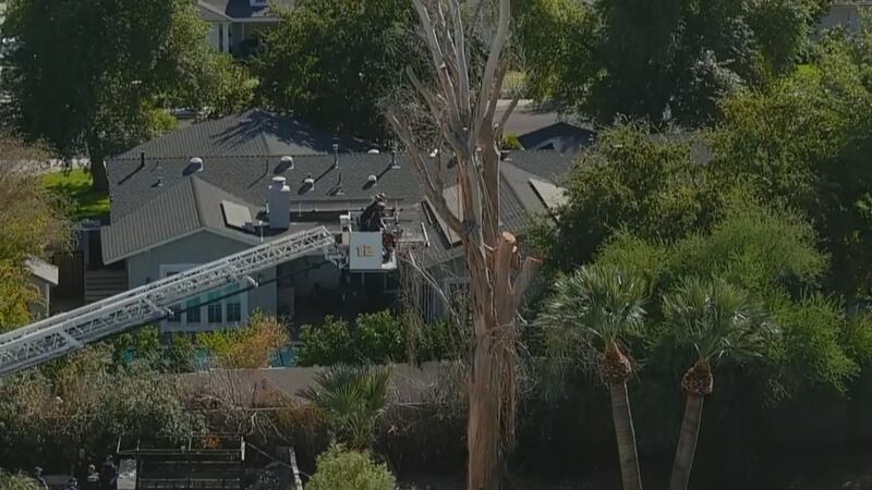 Scottsdale firefighters attempting to recover a man's body after a branch fell, killed and...