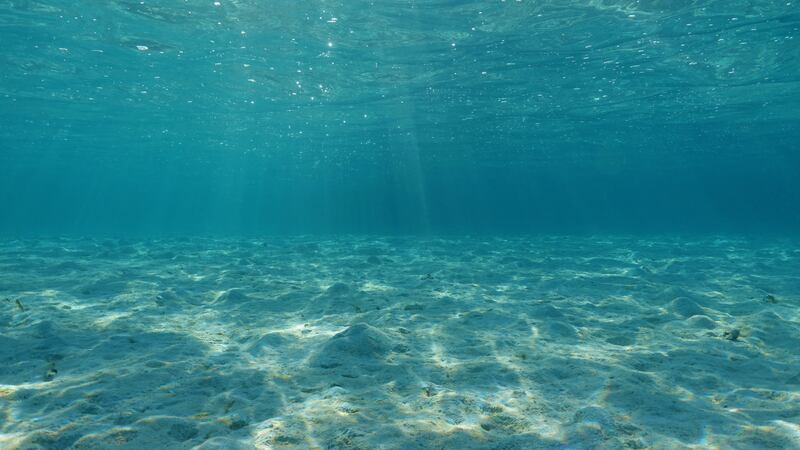 Lucy Reed died after swimming at Cleethorpes Beach in England back in June 2023, but the...