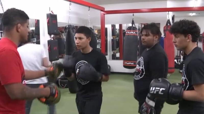 Ahead of the biggest fight card in its history with UFC 300, the Las Vegas based promotion...