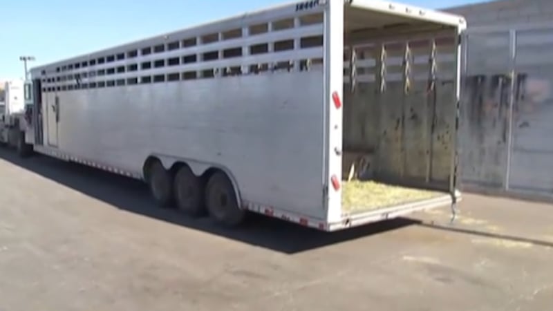 Gladius The Show is teaming up to help horses affected by the California wildfires.