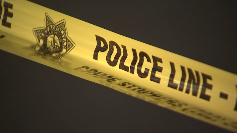 Photo of the Las Vegas Metropolitan Police Department (LVMPD).