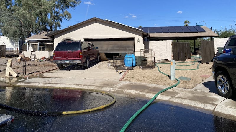 An elderly woman and over 25 dogs are dead after a house caught on fire in north Phoenix...