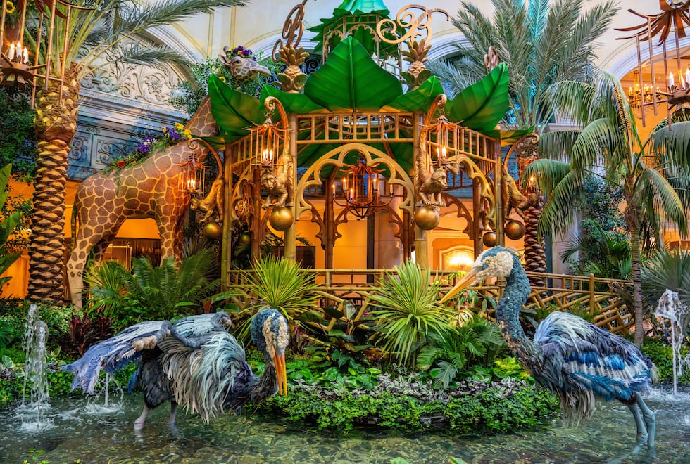 The Bellagio Conservatory & Botanical Gardens has unveiled its 2026 summer display, which will...
