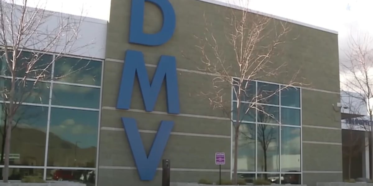Dmv 2 Some DMV services now available online and in person, officials say