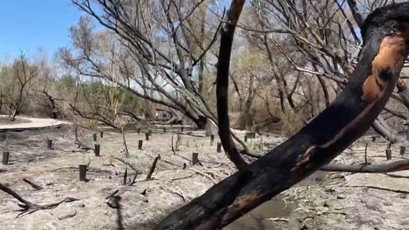 With storms in the forecast, Clark County Wetlands Park is preparing for whatever comes their...
