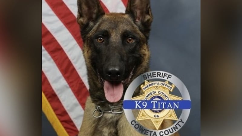 K-9 Titan served with the Coweta County Sheriff’s Office for over five years.