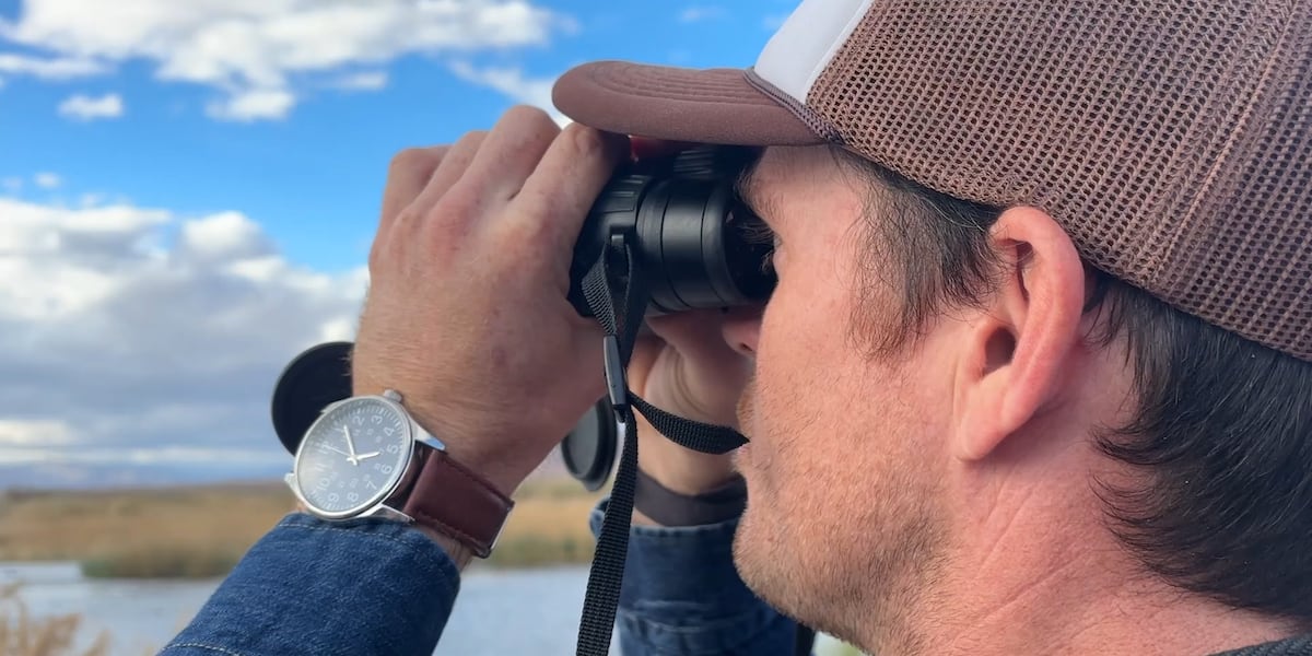 ‘They can pass it along’: Local wildlife experts discuss potential bird flu increase during March migration ‘They can pass it along’: Local wildlife experts discuss potential bird flu increase during March migration