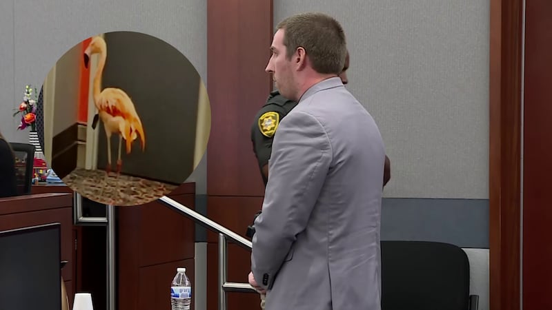 Mitchell Fairbarn was found guilty on both the misdemeanor and felony counts of animal cruelty...