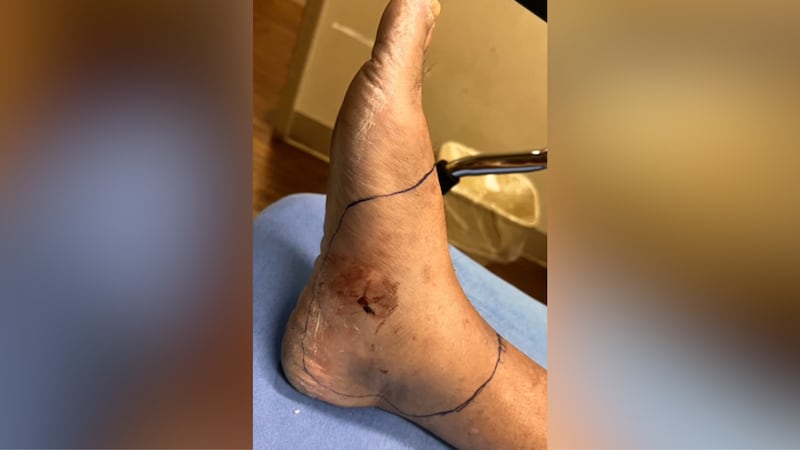 A Florida couple whose relationship began with kayaking trips and sunset walks is now facing a...