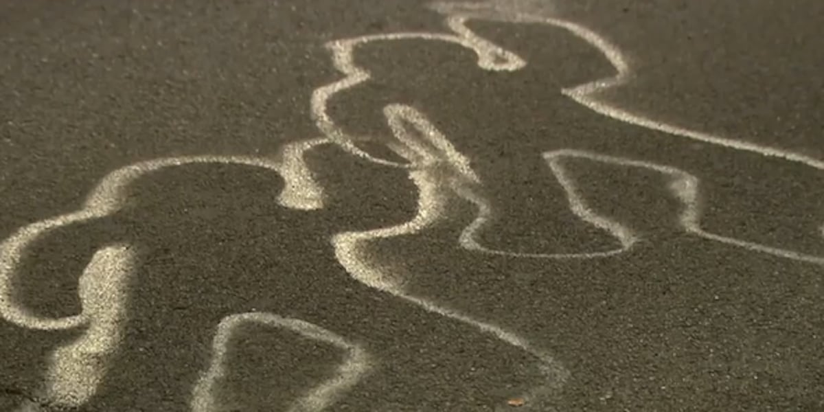 Six Las Vegas Valley pedestrians struck and killed in November 2025 so far Six Las Vegas Valley pedestrians struck and killed in November 2025 so far