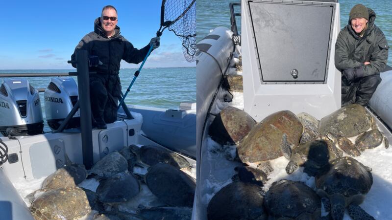 Officers with the Florida Fish and Wildlife Conservation Commission braved the cold water to...