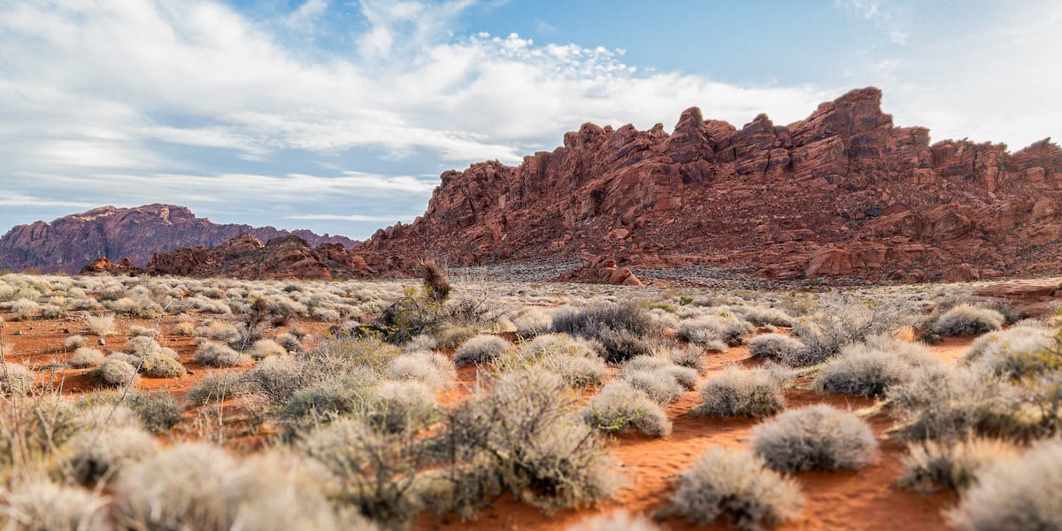 Nevada Lifts Fire Restrictions on Clark County Lands