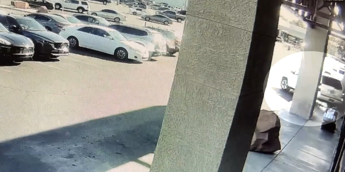 CAUGHT ON VIDEO: Car backs into Las Vegas Dollar Tree filled with people CAUGHT ON VIDEO: Car backs into Las Vegas Dollar Tree filled with people