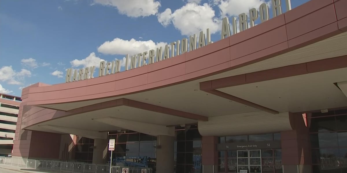 Las Vegas woman zip-tied, duct-taped for allegedly assaulting, intimidating flight attendants Las Vegas woman zip-tied, duct-taped for allegedly assaulting, intimidating flight attendants