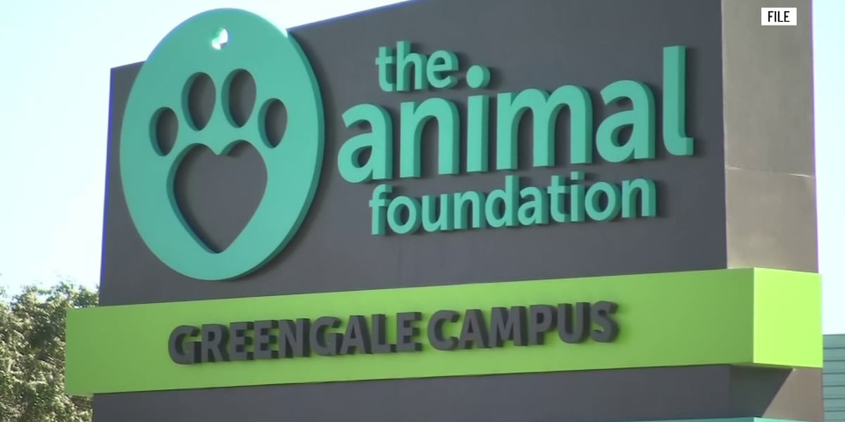 Clark County Commission greenlights contract with Animal Foundation Clark County Commission greenlights contract with Animal Foundation