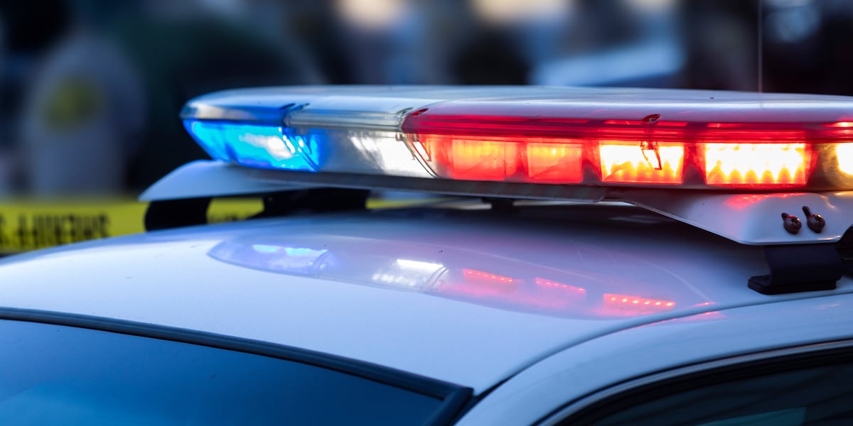 Coverage image for: Las Vegas police respond to possible shooting near Owens, Las Vegas Blvd