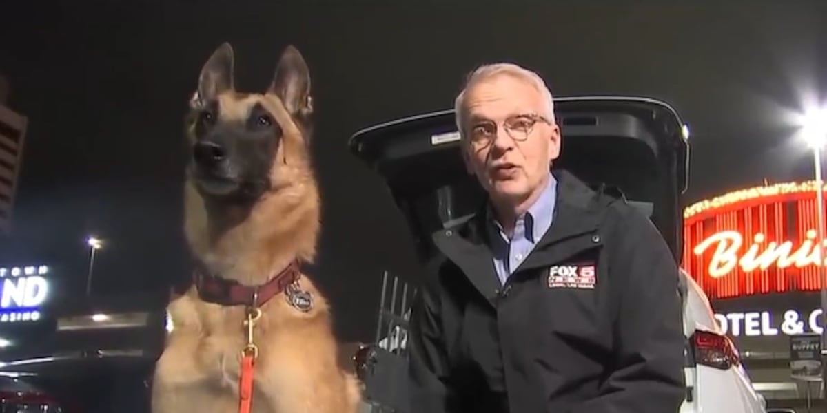 Inside look at the K9 squad of Red Rock Search & Rescue Inside look at the K9 squad of Red Rock Search & Rescue