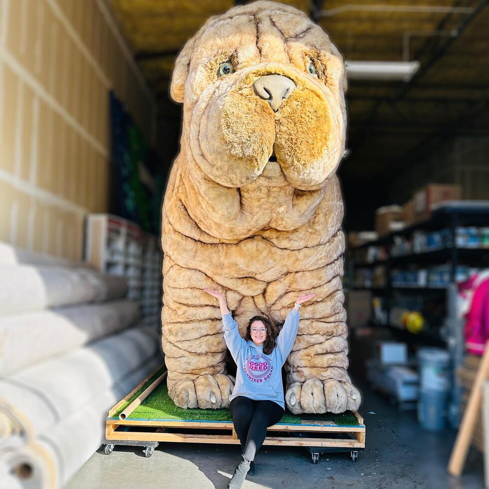 The Good Deed Project has recovered their mascot “Mr. Deeds,” and is now turning their...