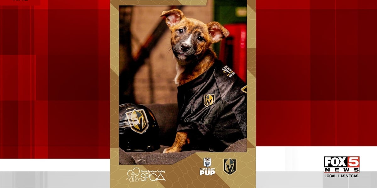 ‘Jack Eichowl’ to represent Vegas Golden Knights in NHL’s Stanley Pup broadcast