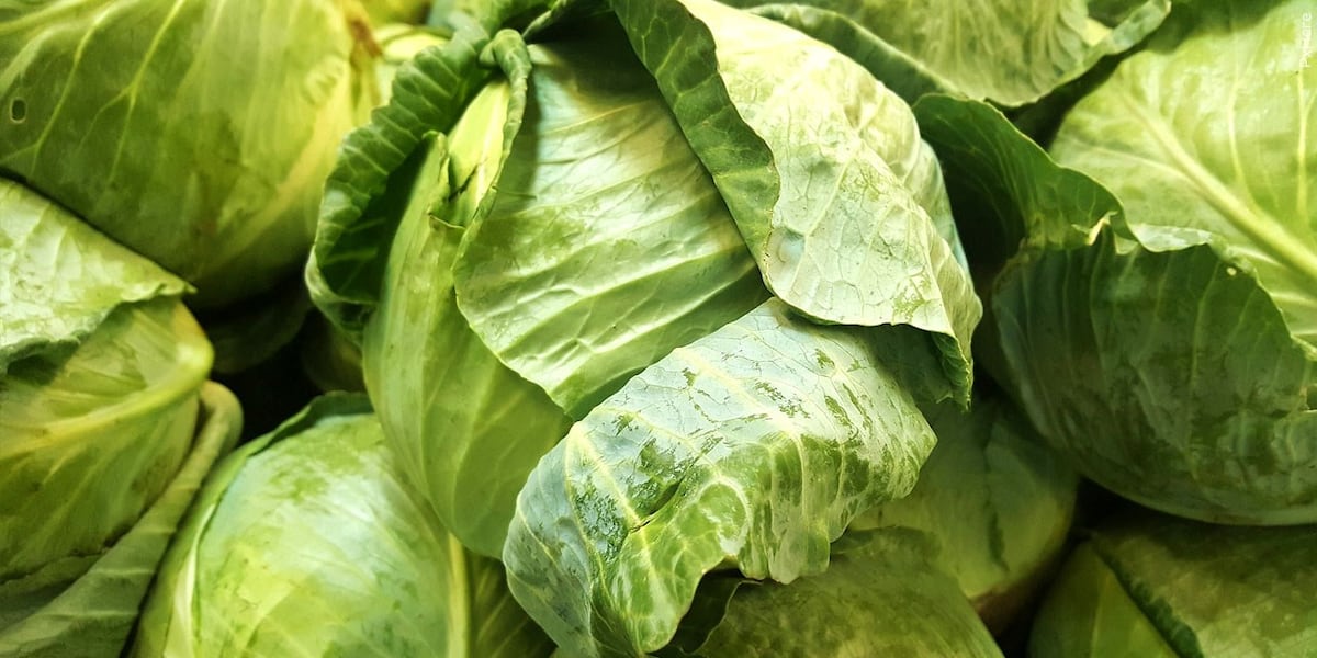 Coverage image for: Chopt reports slumping sales amid lettuce concerns despite no ties to diarrhea outbreak