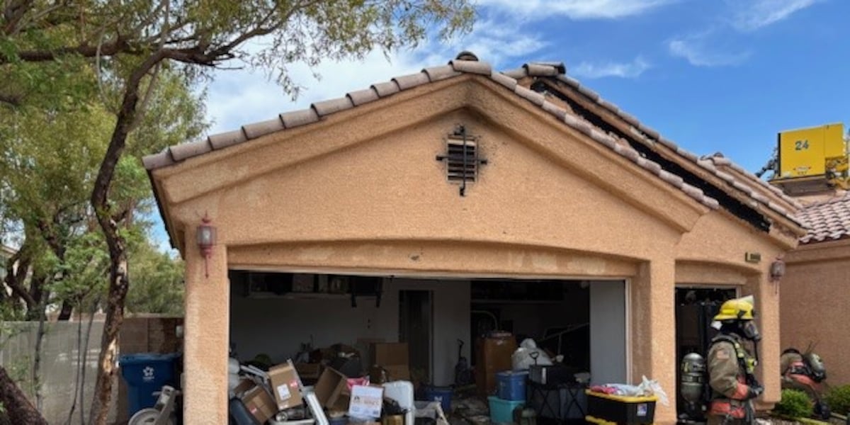 Plumber started south Las Vegas fire that left two people, dog displaced Plumber started south Las Vegas fire that left two people, dog displaced