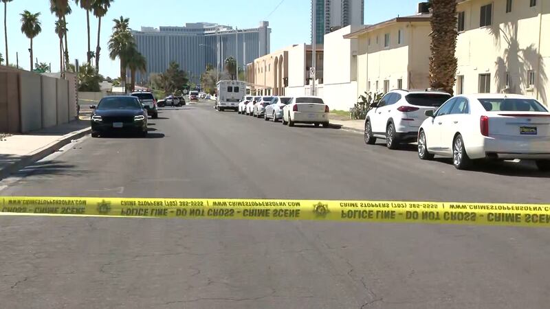 A son killed his father in a stabbing Monday morning north of the Las Vegas Strip, police say.