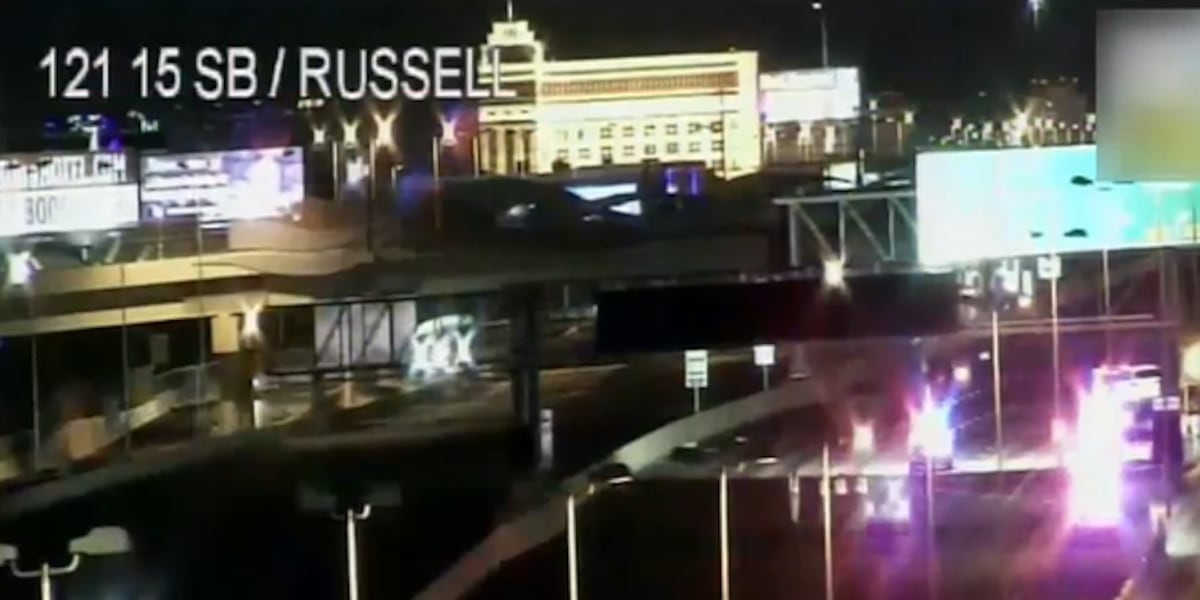 Hit-and-run suspect that injured Nevada State trooper claimed fleeing was ‘the right thing to do’ Hit-and-run suspect that injured Nevada State trooper claimed fleeing was ‘the right thing to do’