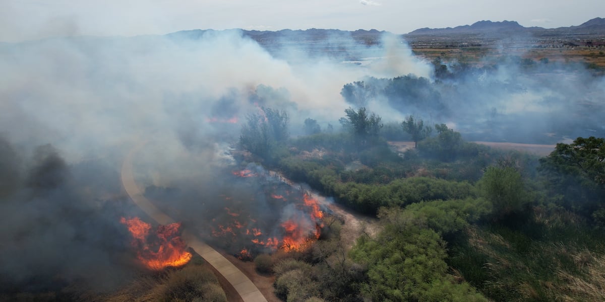 How are animal habitats at Wetlands Park impacted after 34-acre fire? How are animal habitats at Wetlands Park impacted after 34-acre fire?