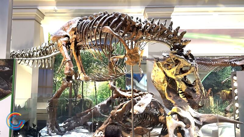 Shutdown Rundown: how it impacts you