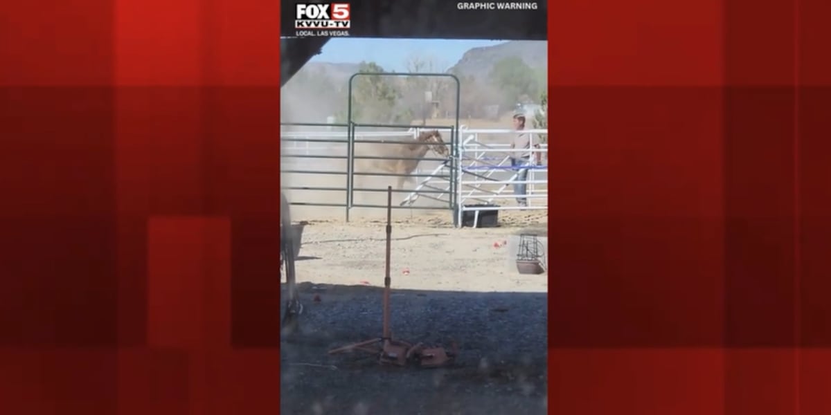 Nevada board investigates horse-kicking video as search continues for missing veterinarian Nevada board investigates horse-kicking video as search continues for missing veterinarian