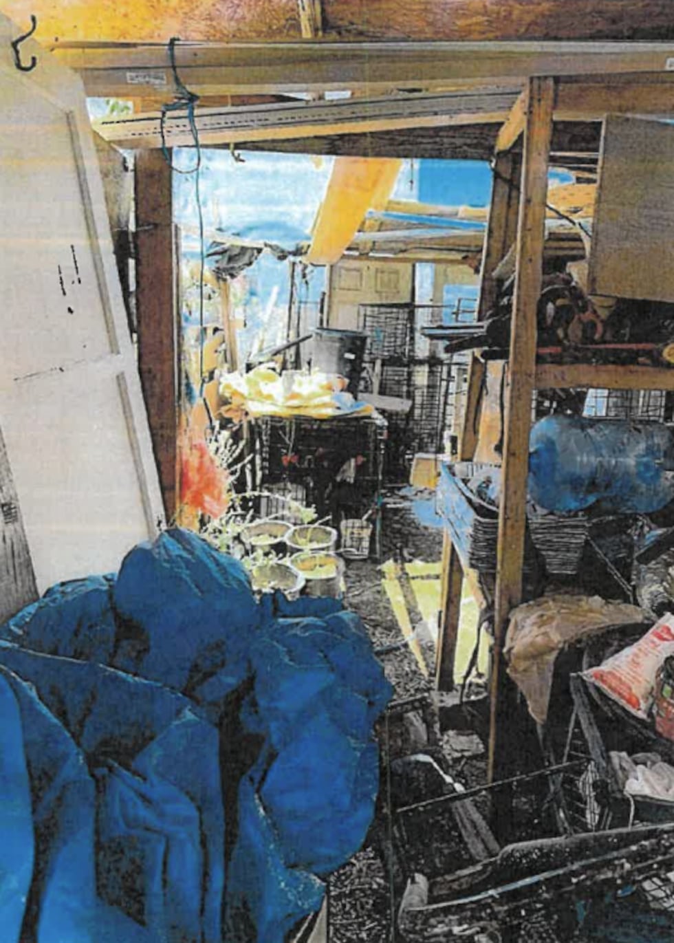 Police also said Guadalupe Camarillo Guarneros's home was not suitable for Pinto.
