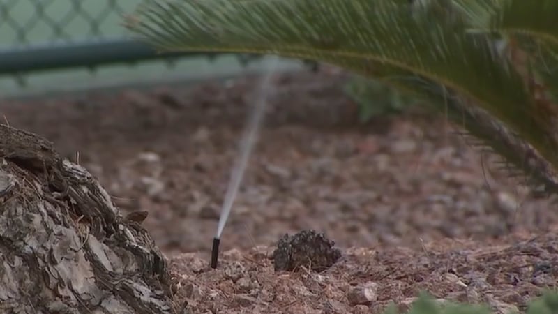 A class-action lawsuit claims the Las Vegas Valley Water District charged $96M in unauthorized...