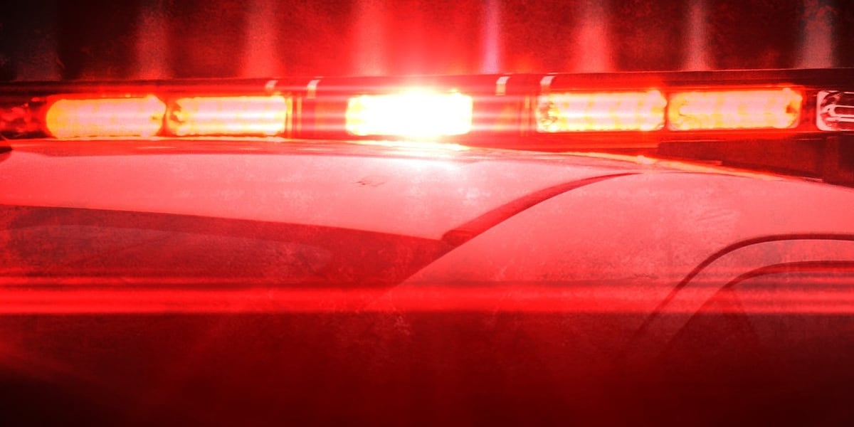 Security guard charged after tourist shot on Las Vegas Strip, police report says