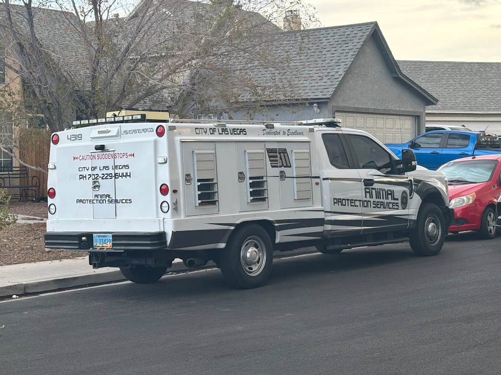 Animal Protection Services were dispatched to a Las Vegas neighborhood where multiple dogs...