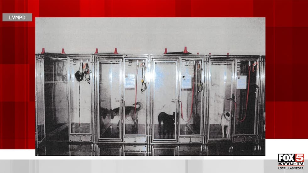 One of several photos include in the arrest report for a trainer at Working Dogs.