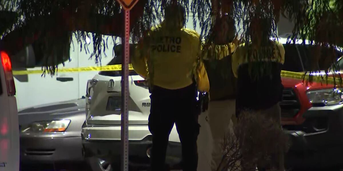 Police investigate homicide near Las Vegas airport Police investigate homicide near Las Vegas airport