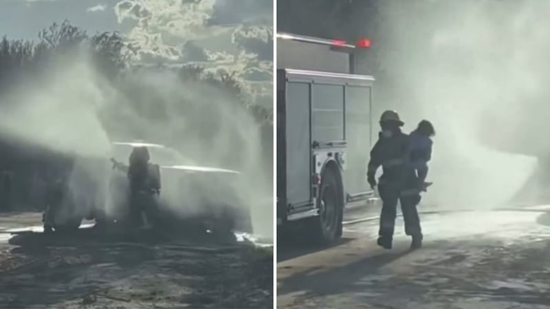 Police say the mother and her two children were taking photos when bees began to swarm.