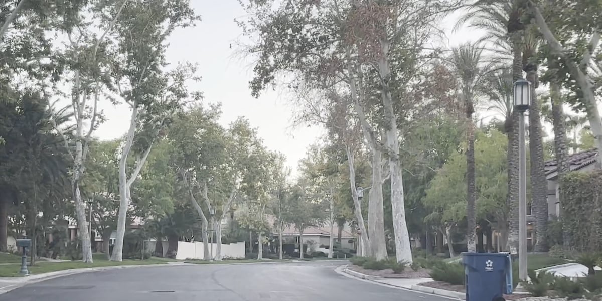 Las Vegas neighbors ask for relief from sky-high water bills Las Vegas neighbors ask for relief from sky-high water bills