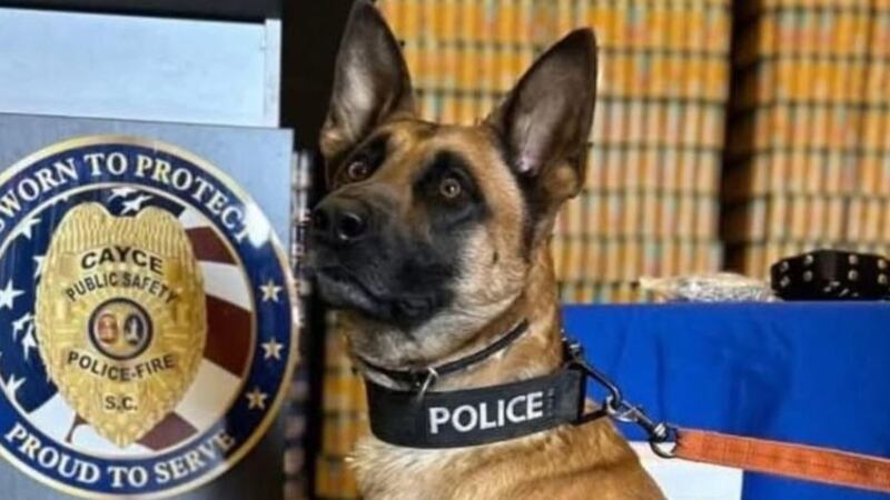 Bumi was shot at least two times while chasing some teens. Bumi was wearing a vest, but was...