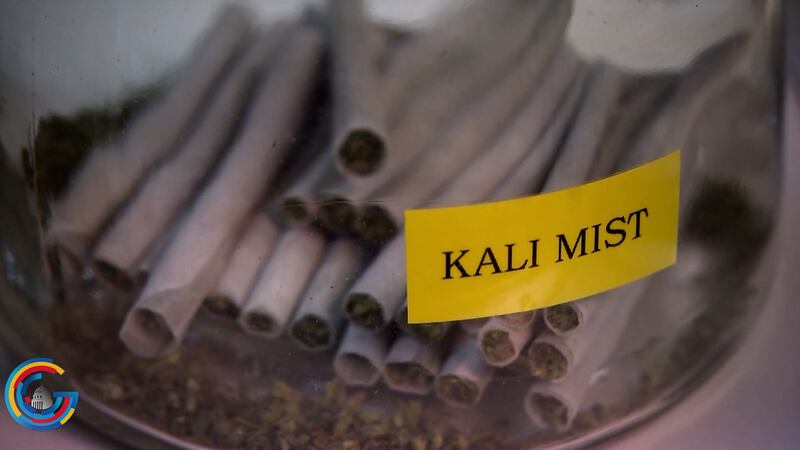 Black market illegal grow operations set to make billions for Chinese nationals