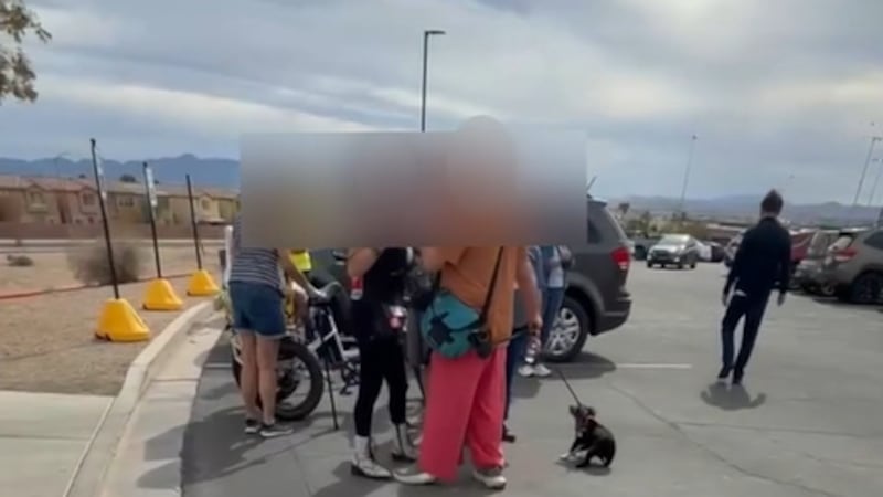 Las Vegas police responded to Desert Breeze Community Center after a woman with a megaphone...